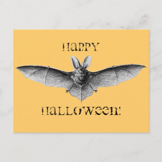 ヴィンテージこうもりイラストレーション ポストカード (正面)