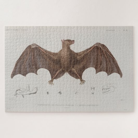 ヴィンテージこうもりイラストレーション(1835) ジグソーパズル (横)