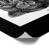 ヴィンテージこうもりバイアーネスト・ヘッケル ポスター (角)