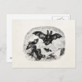 ヴィンテージこうもり飛んでいる1800sビッグこうもりスケッチ ポストカード (正面/裏面)