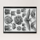 ヴィンテージこうもり:アーネストヘッケル525ピースパズル ジグソーパズル (横)