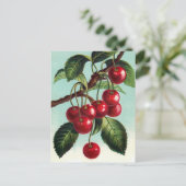 ヴィンテージさくらんぼの枝はがき ポストカード (スタンド正面)