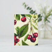 ヴィンテージさくらんぼイラストレーションはがき ポストカード (スタンド正面)