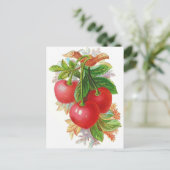 ヴィンテージさくらんぼイラストレーション ポストカード (スタンド正面)