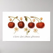 ヴィンテージさくらんぼフルーツコテージコアアンティークポスター ポスター (正面)