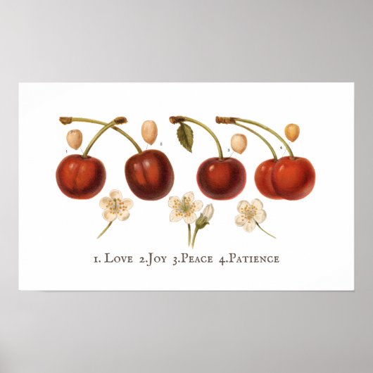 ヴィンテージさくらんぼフルーツコテージコアアンティークポスター ポスター (正面)