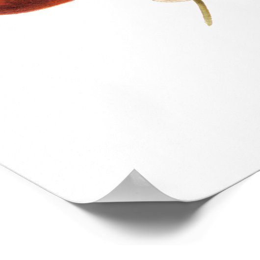 ヴィンテージさくらんぼフルーツコテージコアアンティークポスター ポスター (角)