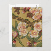 ヴィンテージさくらんぼ咲きアジアの日本の花 ポストカード (正面/裏面)