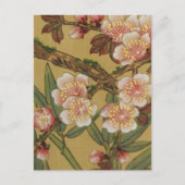 ヴィンテージさくらんぼ咲きアジアの日本の花 ポストカード (正面)