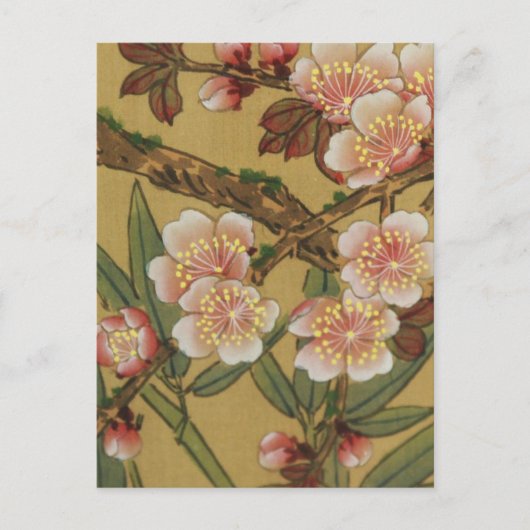 ヴィンテージさくらんぼ咲きアジアの日本の花 ポストカード (正面)