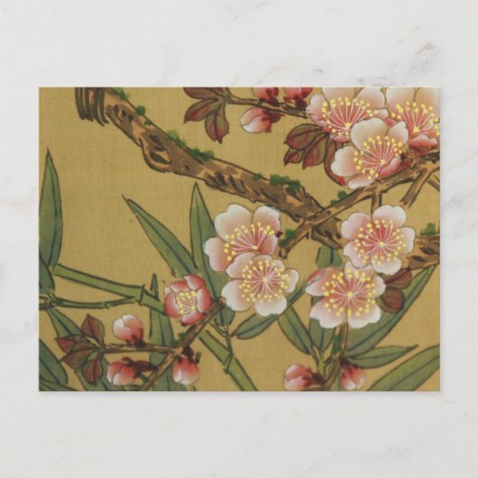 ヴィンテージさくらんぼ咲きアジアの日本の花 ポストカード (正面)
