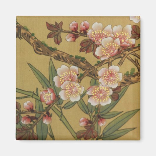 ヴィンテージさくらんぼ咲きアジアの日本の花 マグネット (正面)