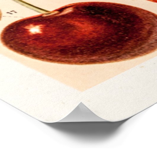 ヴィンテージさくらんぼ品種アンティークさくらんぼフルーツ ポスター (角)