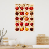 ヴィンテージさくらんぼ品種アンティークさくらんぼフルーツ ポスター (キッチン)