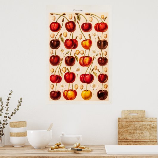 ヴィンテージさくらんぼ品種アンティークさくらんぼフルーツ ポスター (キッチン)