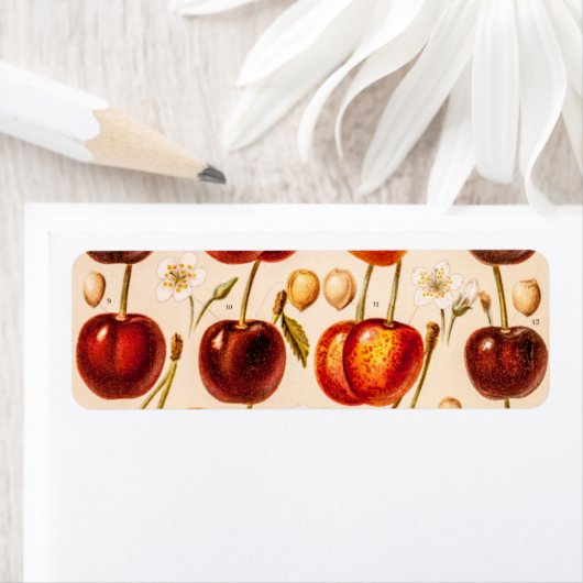 ヴィンテージさくらんぼ品種アンティークさくらんぼフルーツ ラベル (インサイチュ)