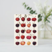 ヴィンテージさくらんぼ ポストカード (スタンド正面)