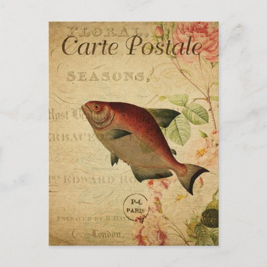 ヴィンテージさけ鯉フローラ ポストカード (正面)