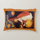 ヴィンテージすてきハロウィーンウィッチバイエレンクラッサドル アクセントクッション (裏面)