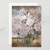 ヴィンテージで変化するカーネーションの花と灰色の空 (正面/裏面)