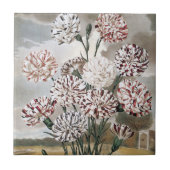 ヴィンテージで変化するカーネーションの花と灰色の空 タイル (正面)