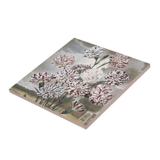 ヴィンテージで変化するカーネーションの花と灰色の空 タイル (側面)