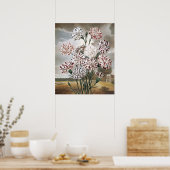 ヴィンテージで変化するカーネーションの花と灰色の空 ポスター (キッチン)