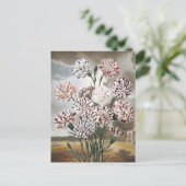 ヴィンテージで変化するカーネーションの花と灰色の空 ポストカード (スタンド正面)