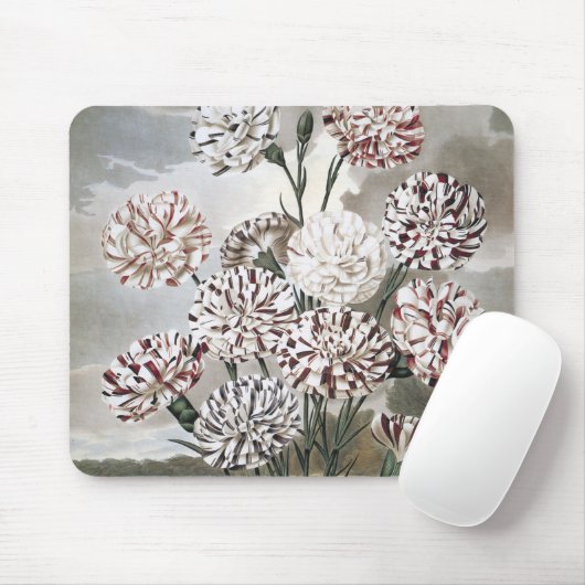 ヴィンテージで変化するカーネーションの花と灰色の空 マウスパッド (マウス)