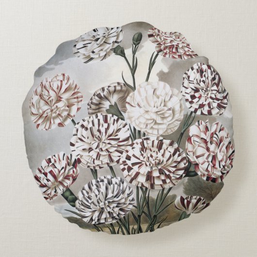 ヴィンテージで変化するカーネーションの花と灰色の空 ラウンドクッション (裏面)