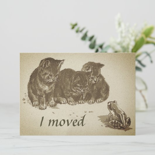 ヴィンテージで引っ越した子猫とカエル カード (スタンド正面)