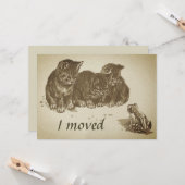 ヴィンテージで引っ越した子猫とカエル カード (正面/裏面インサイチュ)