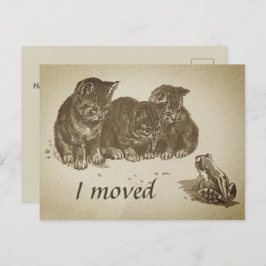 ヴィンテージで引っ越した子猫とカエル ポストカード (正面/裏面)