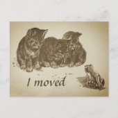 ヴィンテージで引っ越した子猫とカエル ポストカード (正面)