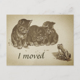 ヴィンテージで引っ越した子猫とカエル ポストカード