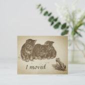 ヴィンテージで引っ越した子猫とカエル ポストカード (スタンド正面)