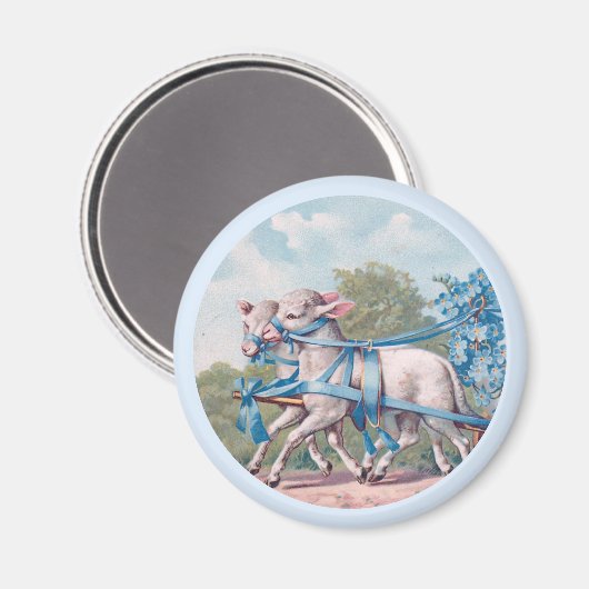 ヴィンテージで青いリボンファンシーを着た子羊 マグネット (正面/裏面)