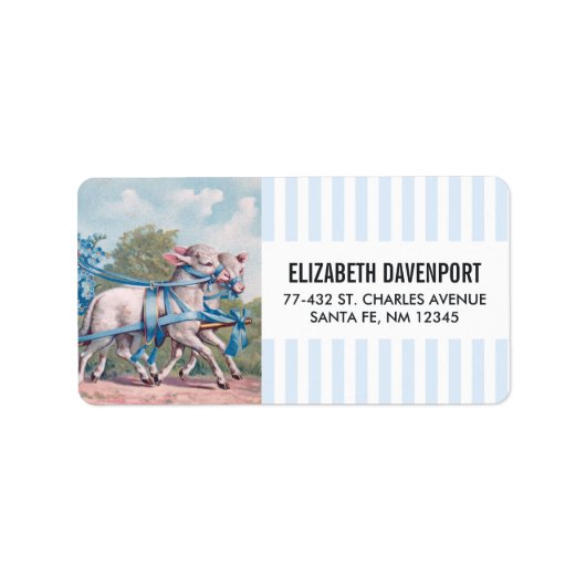 ヴィンテージで青いリボンファンシーを着た子羊 ラベル (正面)