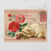 ヴィンテージと猫のコラージュ ポストカード (正面)