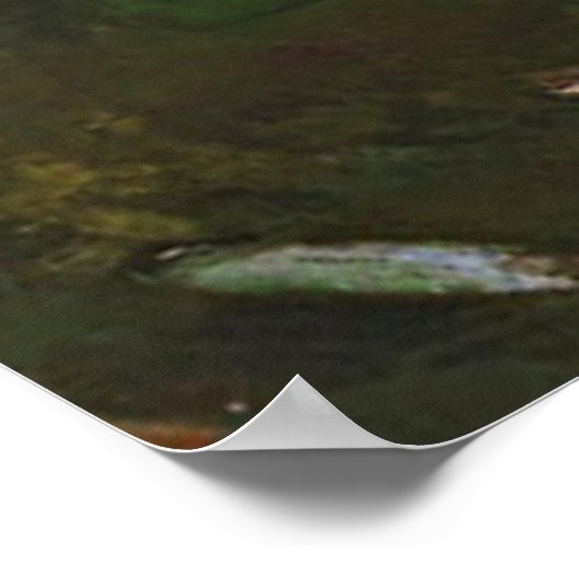 ヴィンテージと白のアヒルが池に入る ポスター (角)