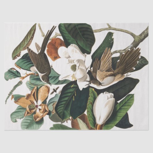 ヴィンテージと花の切り離し 薄葉紙 (正面)