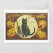 ヴィンテージと黒猫のハロウィンの挨拶 ポストカード (正面)