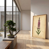 ヴィンテージなオニソガキソウの植物画 ポスター