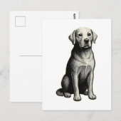 ヴィンテージな座る犬のイラスト ポストカード (正面/裏面)