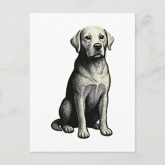 ヴィンテージな座る犬のイラスト ポストカード (正面)