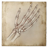 ヴィンテージな手の骨のインク画 セピア タイル (正面)