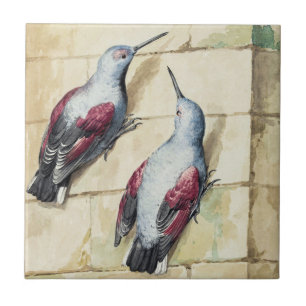 ヴィンテージな赤と灰色の鳥の水彩画 タイル