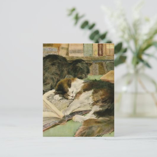 ヴィンテージに満ち足りた眠そうな毛深い猫 案内ポストカード (スタンド正面)