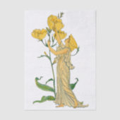 ヴィンテージのおとぎ話、イブニングプリムローズ、ウォルター・クレイン 薄葉紙 (正面)