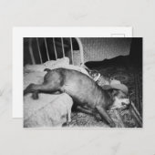 『ヴィンテージのおもしろい朝飲』 ポストカード (正面/裏面)